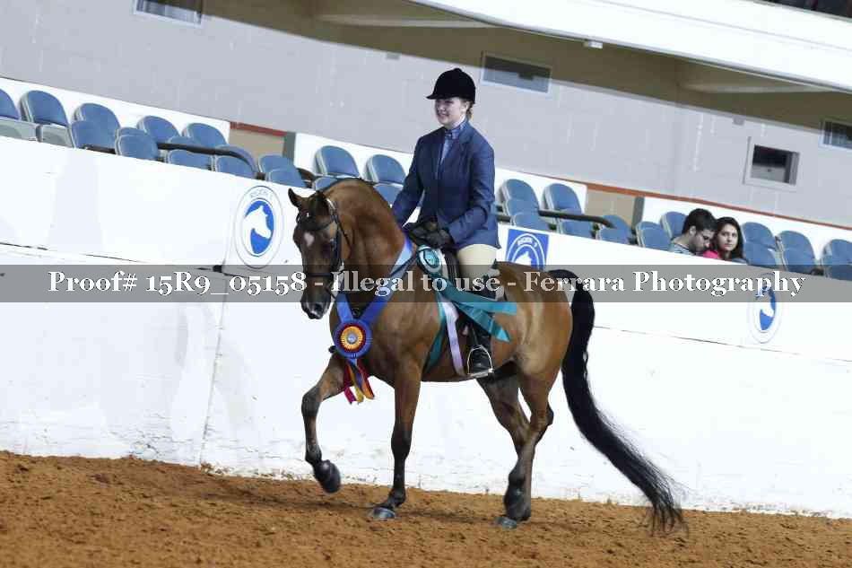 Proof Number 15R9_05158