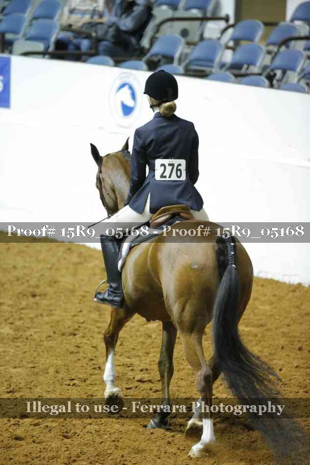 Proof Number 15R9_05168