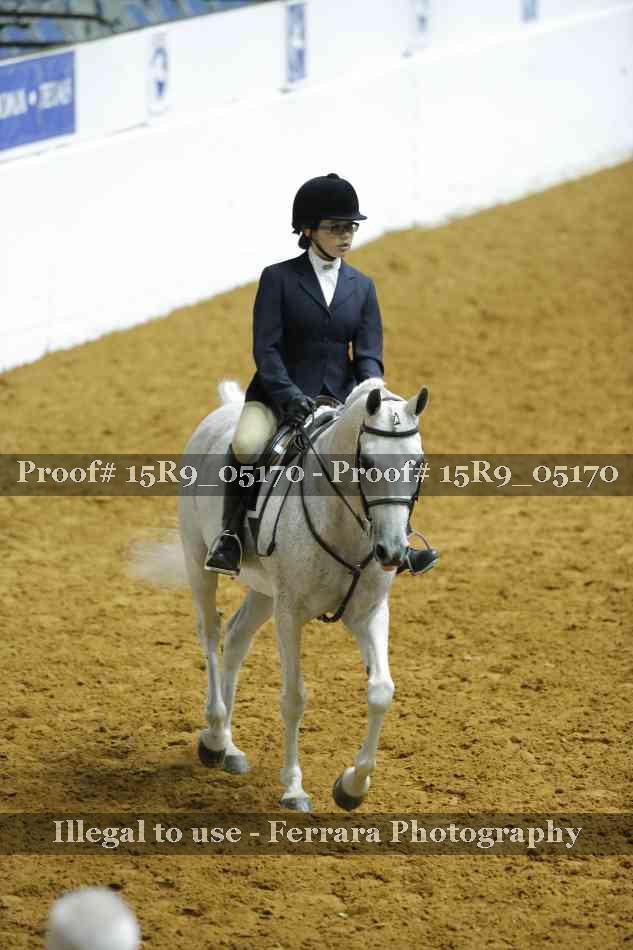 Proof Number 15R9_05170