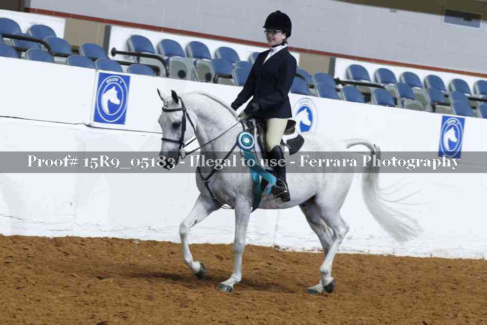 Proof Number 15R9_05183