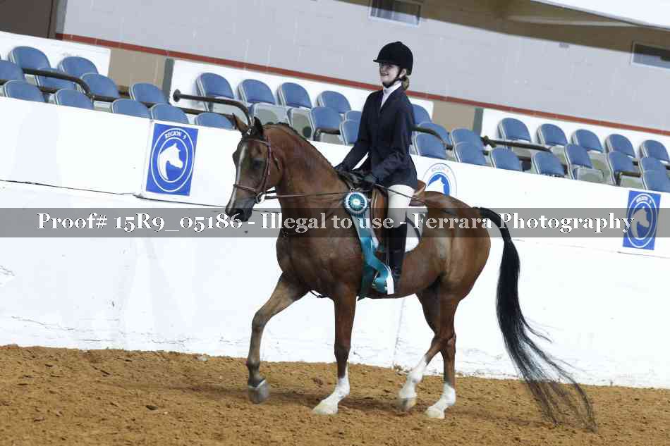 Proof Number 15R9_05186