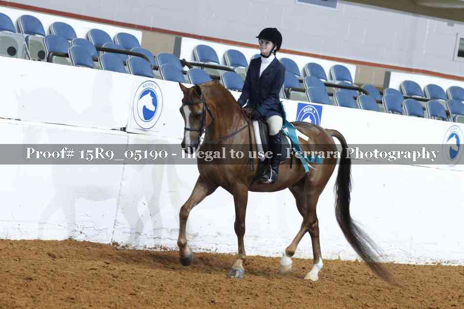 Proof Number 15R9_05190
