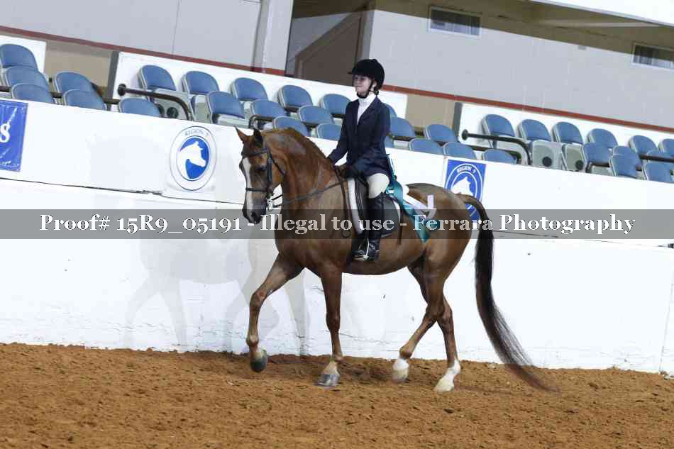 Proof Number 15R9_05191