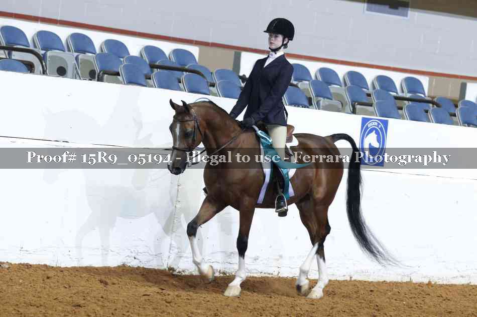 Proof Number 15R9_05194