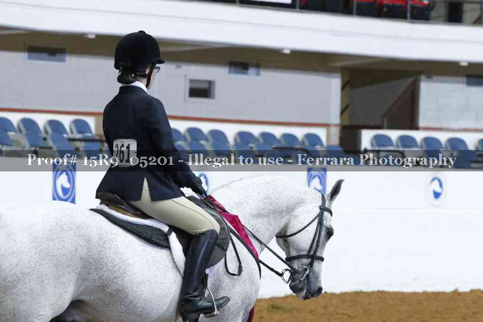 Proof Number 15R9_05201