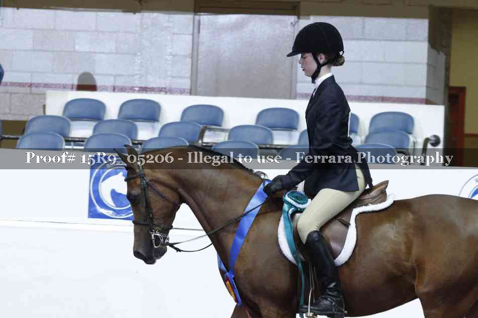 Proof Number 15R9_05206