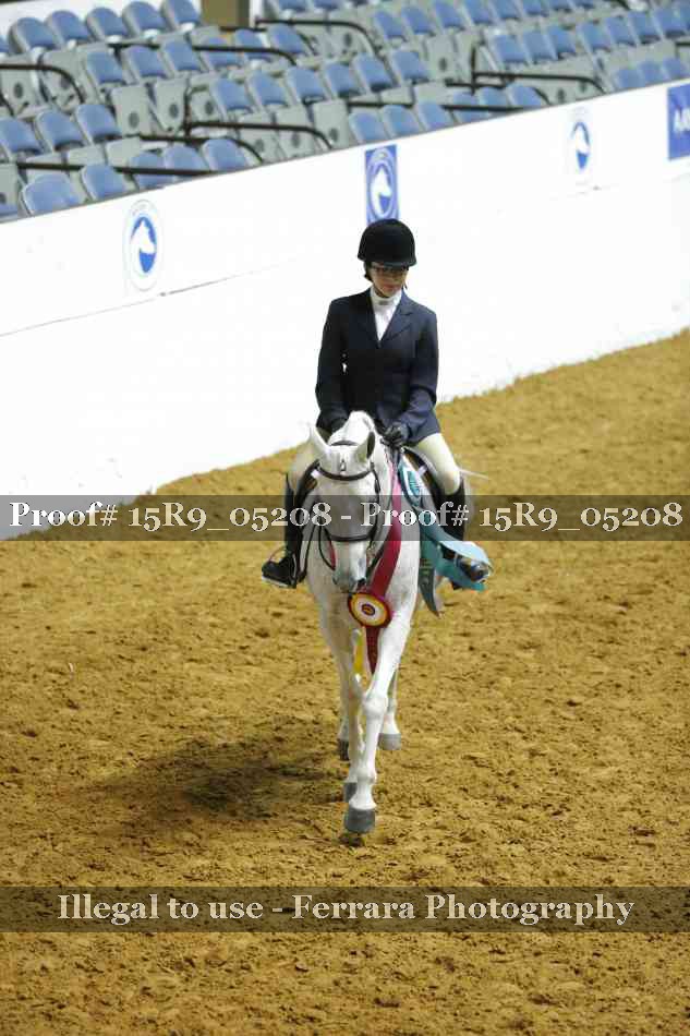 Proof Number 15R9_05208