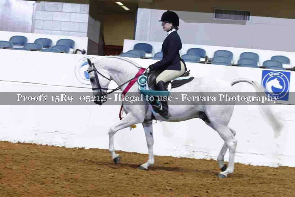 Proof Number 15R9_05212