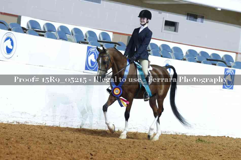 Proof Number 15R9_05215