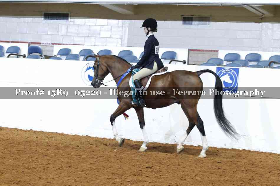 Proof Number 15R9_05220
