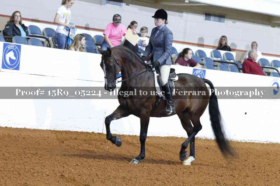 Proof Number 15R9_05224