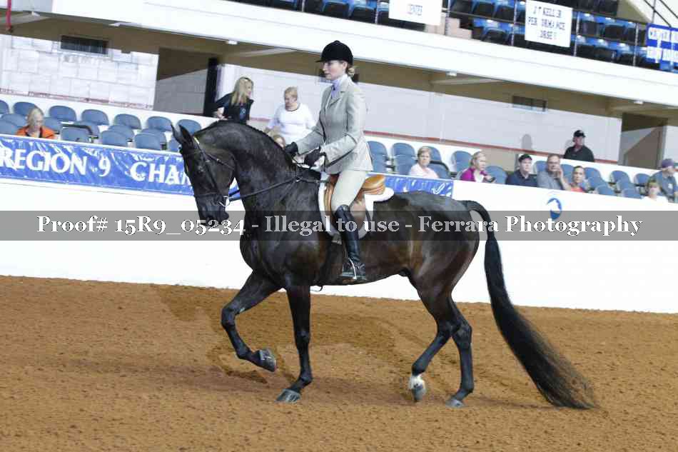 Proof Number 15R9_05234