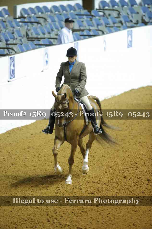 Proof Number 15R9_05243