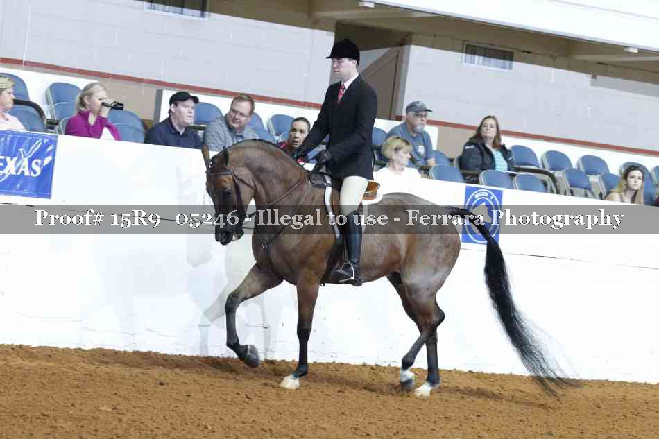 Proof Number 15R9_05246