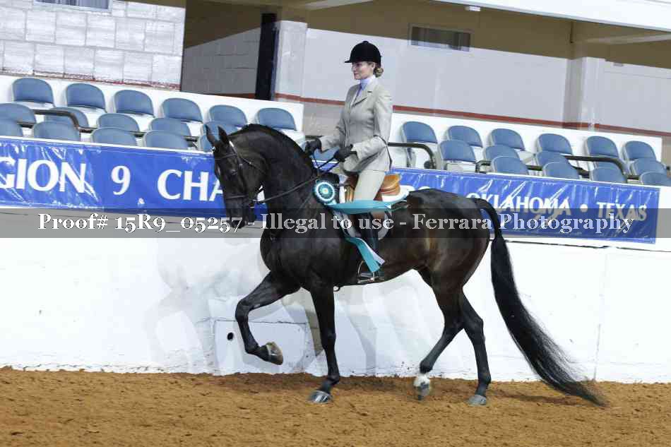Proof Number 15R9_05257