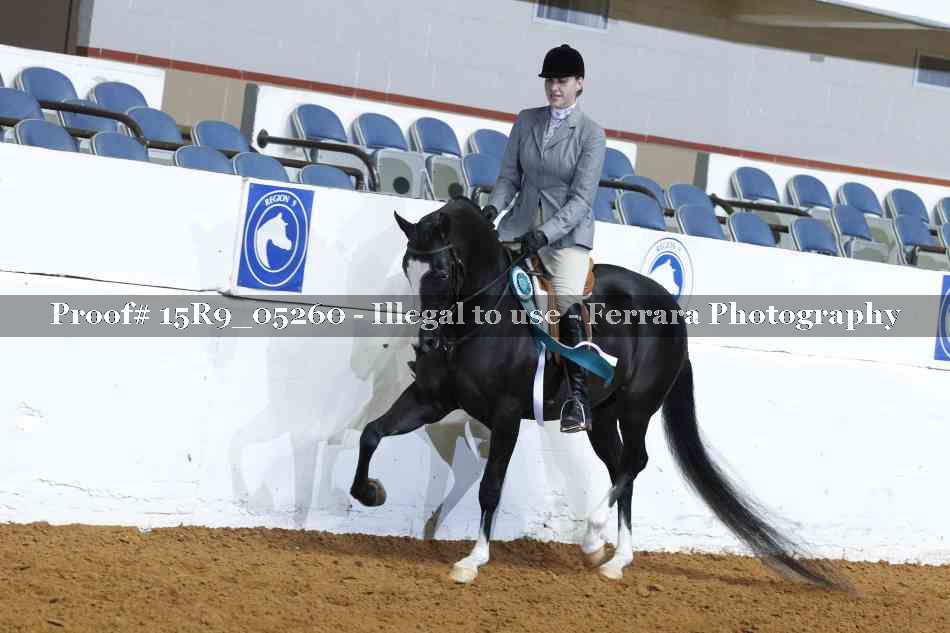 Proof Number 15R9_05260