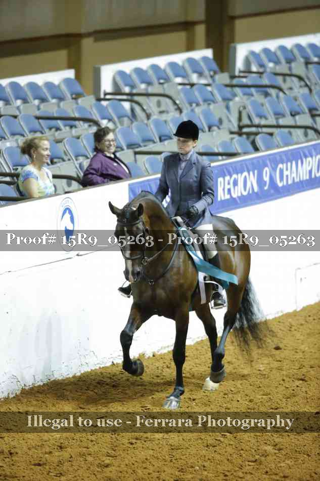 Proof Number 15R9_05263