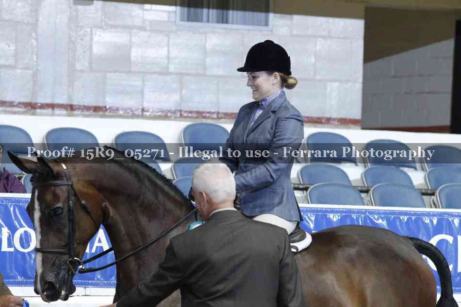 Proof Number 15R9_05271