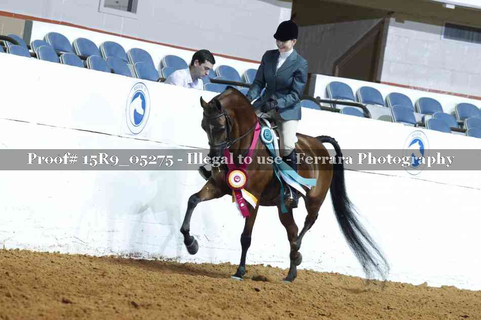 Proof Number 15R9_05275