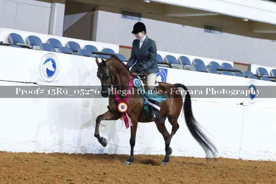 Proof Number 15R9_05276