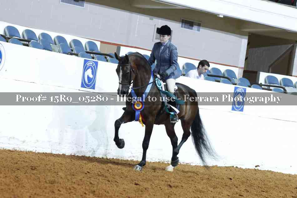 Proof Number 15R9_05280