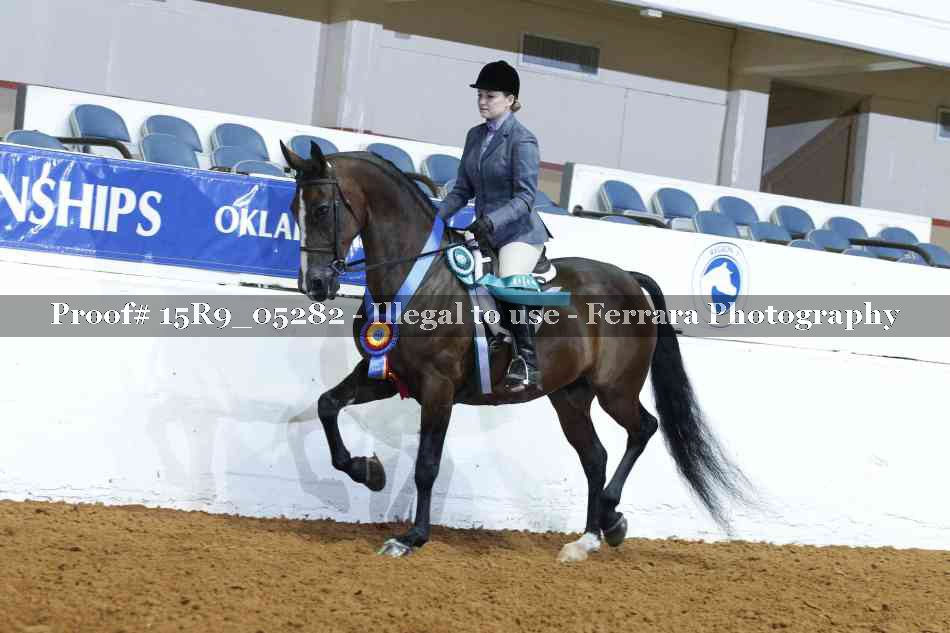 Proof Number 15R9_05282