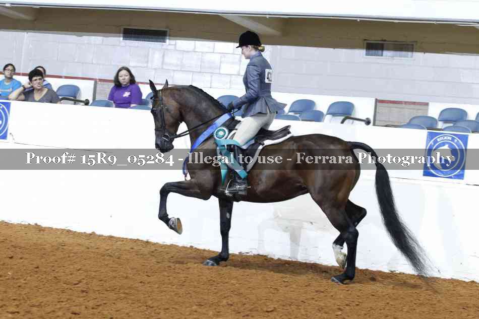 Proof Number 15R9_05284