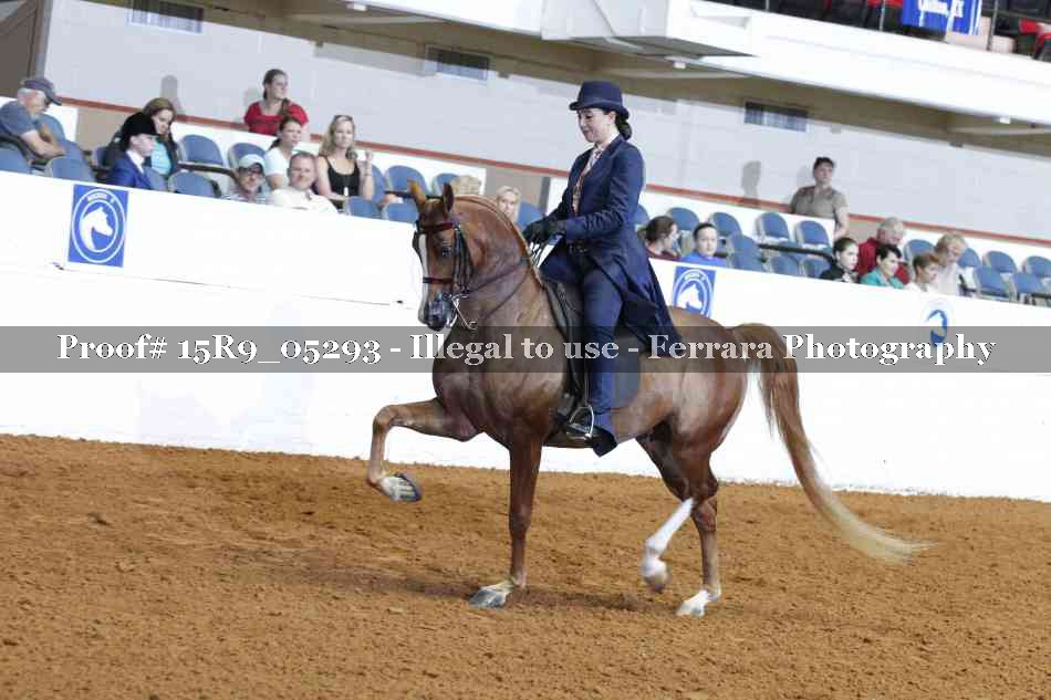 Proof Number 15R9_05293