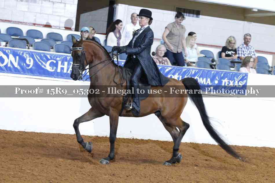 Proof Number 15R9_05302