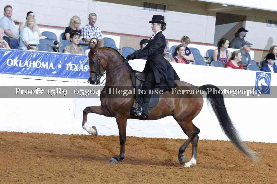 Proof Number 15R9_05304
