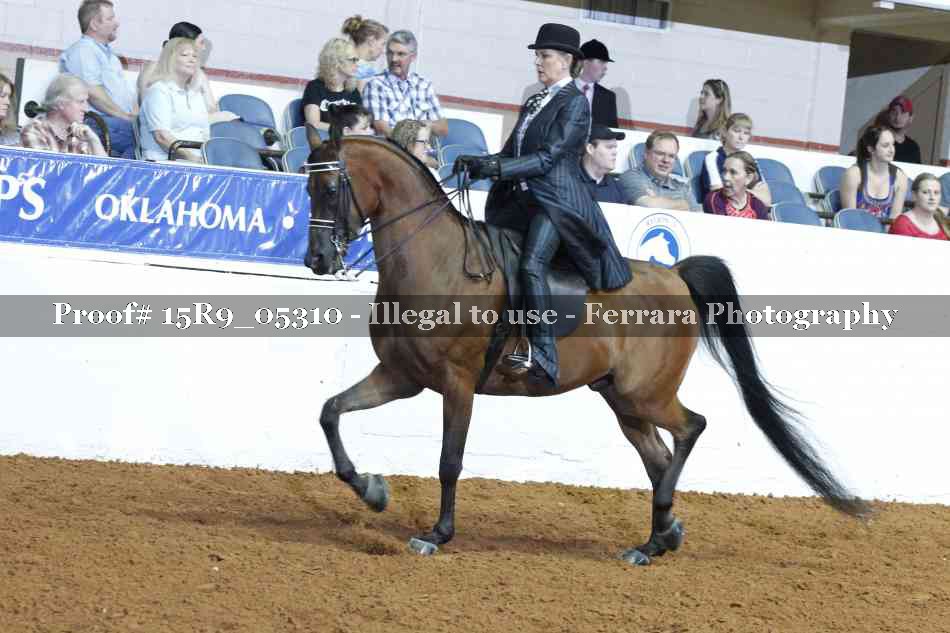 Proof Number 15R9_05310
