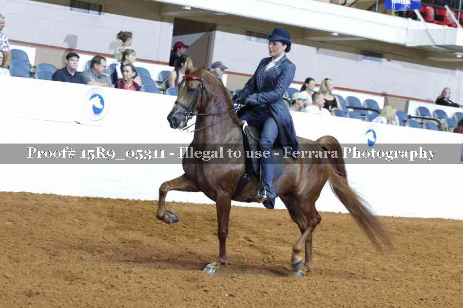 Proof Number 15R9_05311