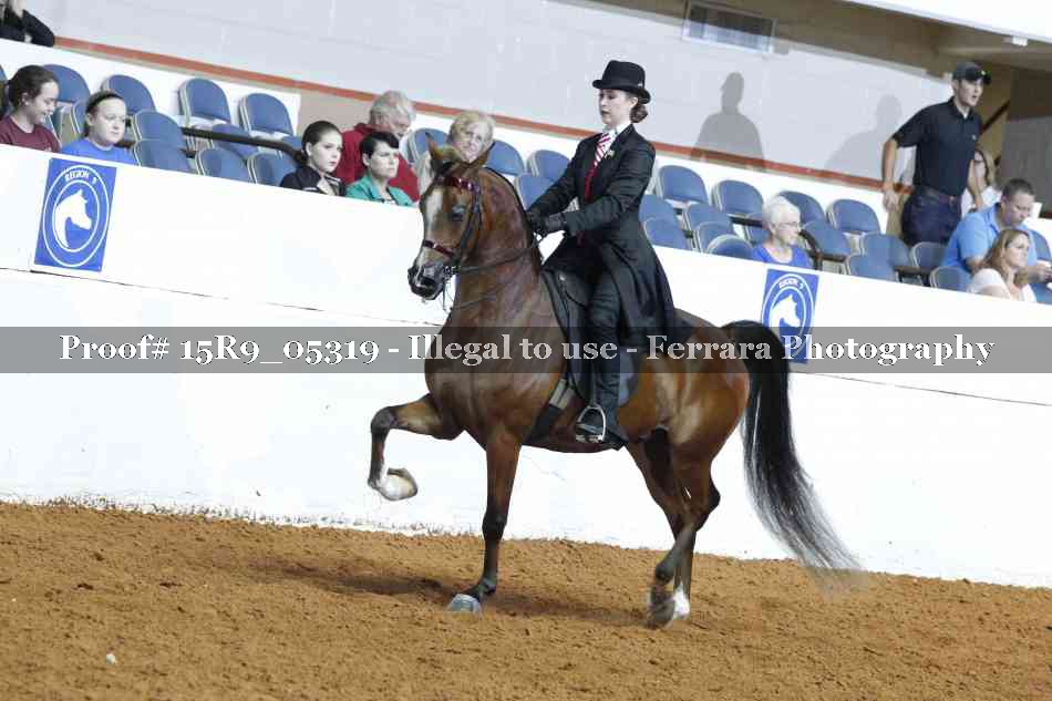 Proof Number 15R9_05319
