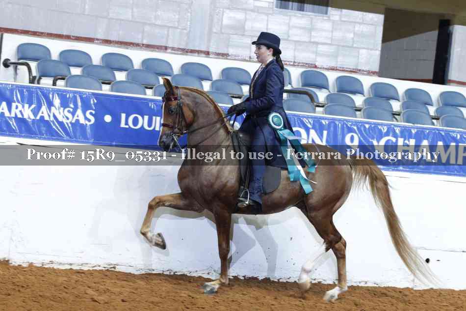 Proof Number 15R9_05331