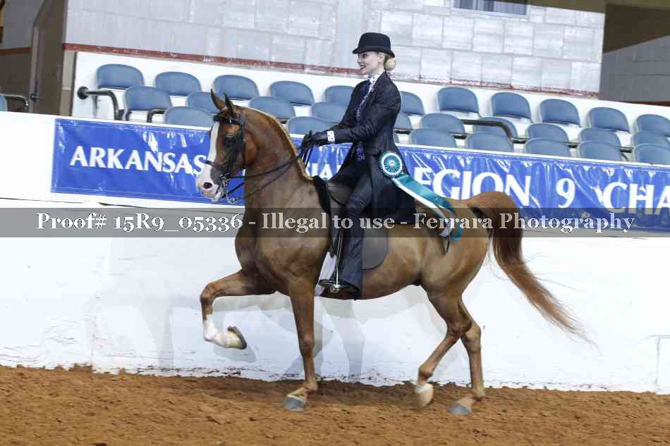 Proof Number 15R9_05336