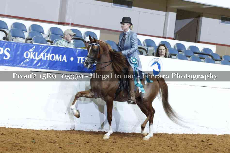 Proof Number 15R9_05339