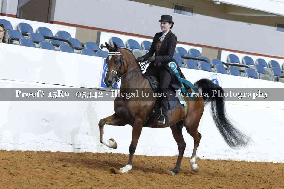 Proof Number 15R9_05342