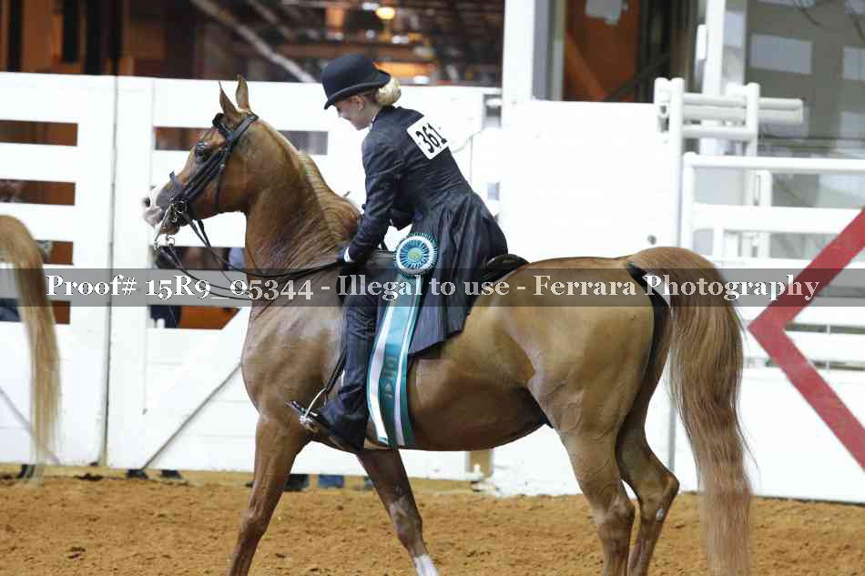 Proof Number 15R9_05344