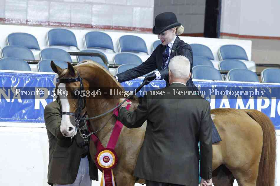 Proof Number 15R9_05346