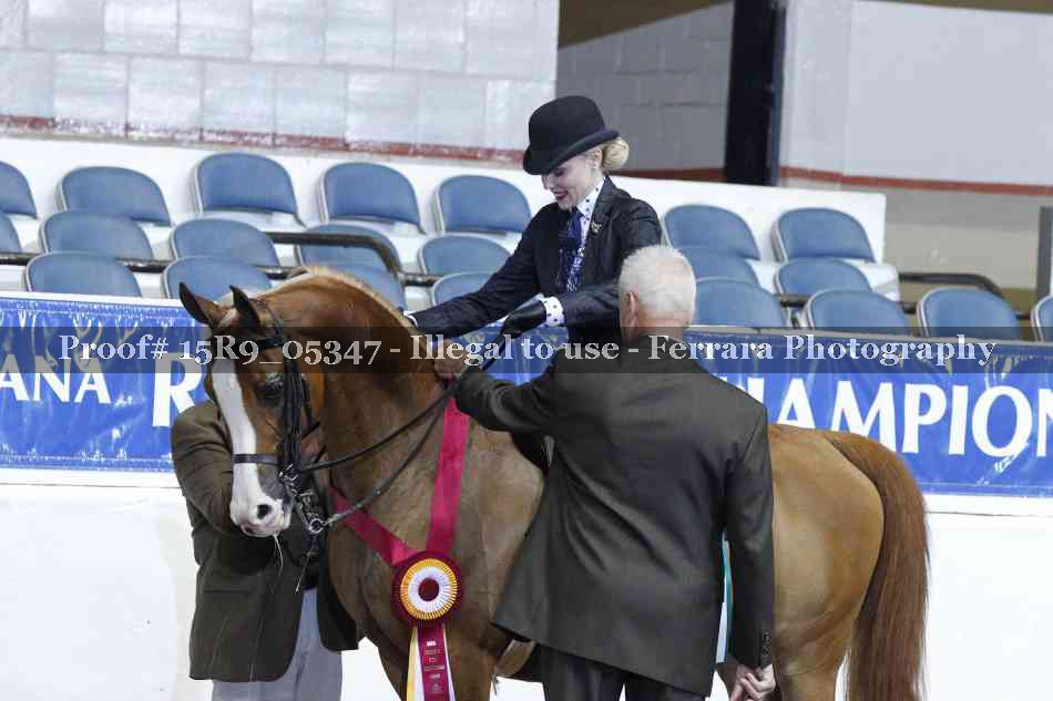 Proof Number 15R9_05347