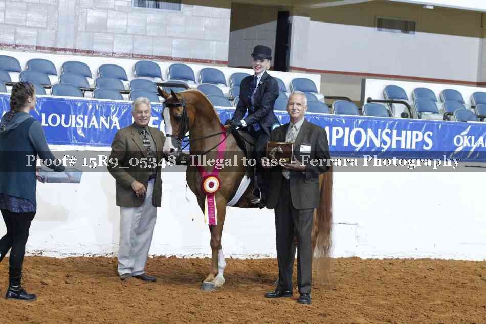 Proof Number 15R9_05348