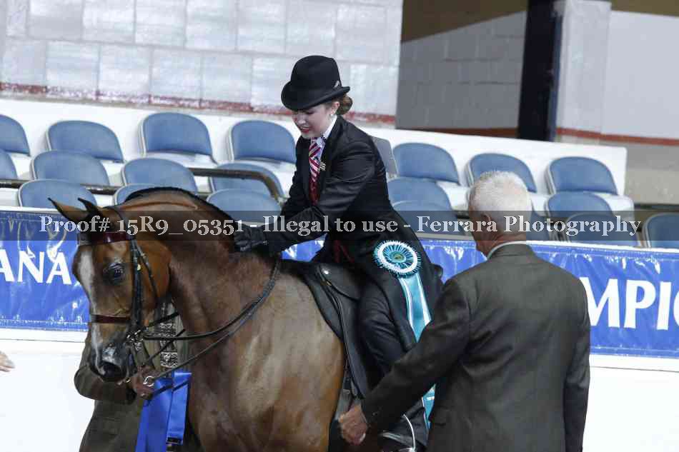 Proof Number 15R9_05351