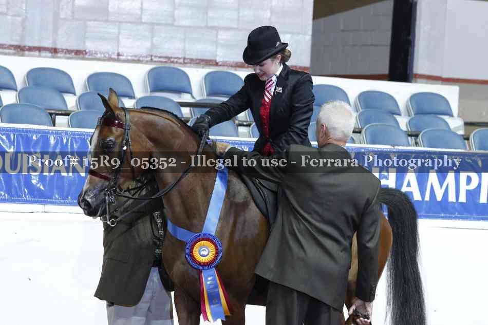 Proof Number 15R9_05352