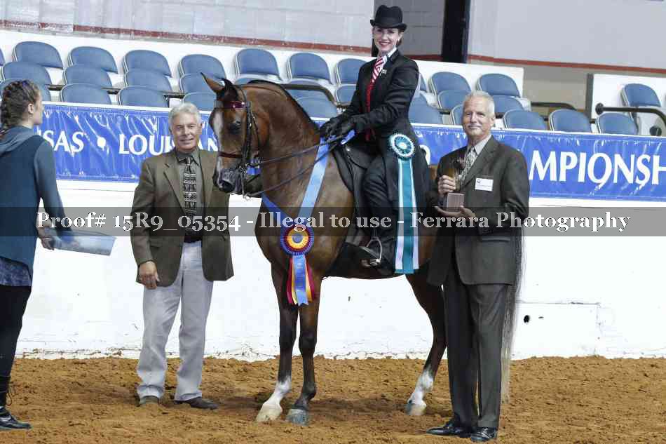 Proof Number 15R9_05354