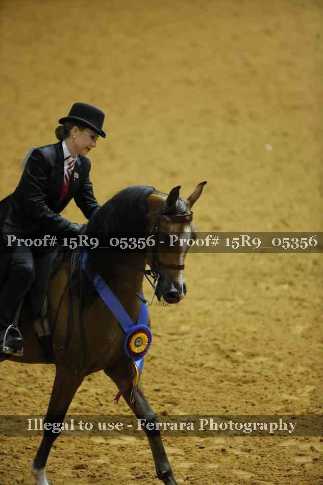 Proof Number 15R9_05356