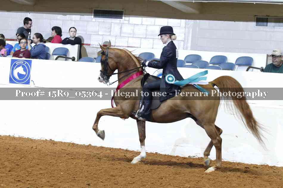 Proof Number 15R9_05364
