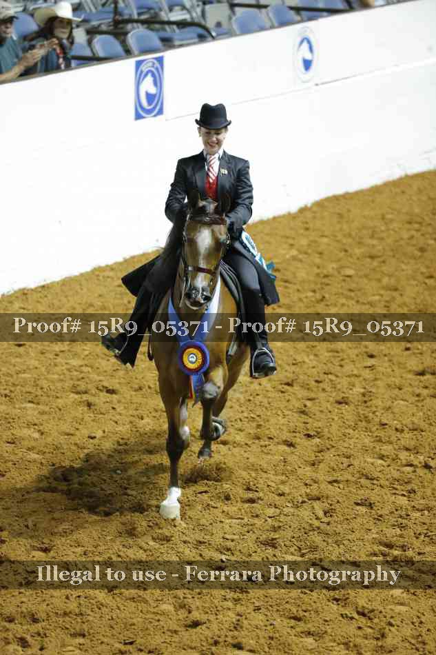Proof Number 15R9_05371
