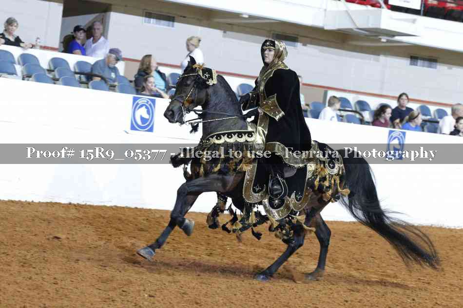 Proof Number 15R9_05377