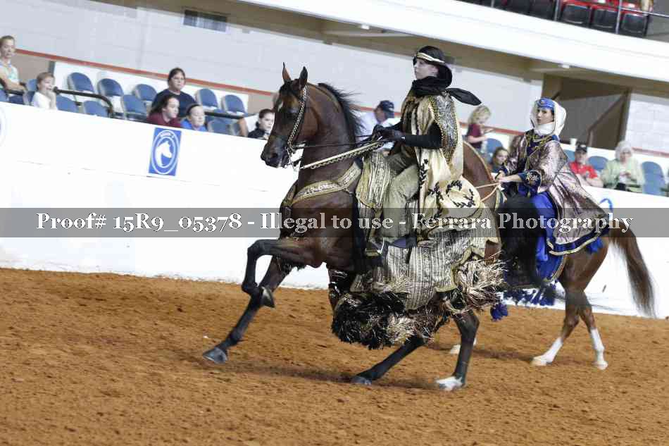 Proof Number 15R9_05378