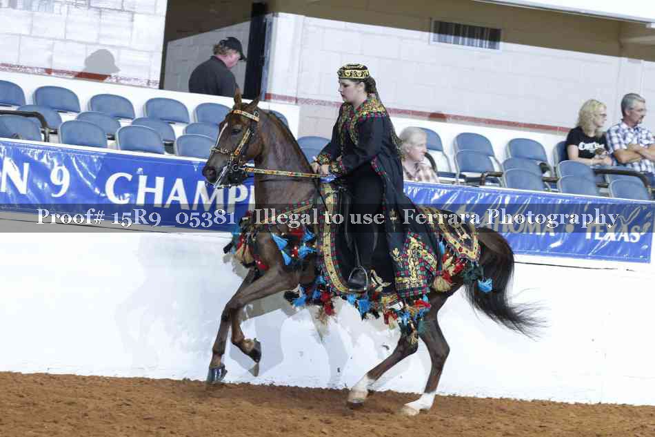 Proof Number 15R9_05381